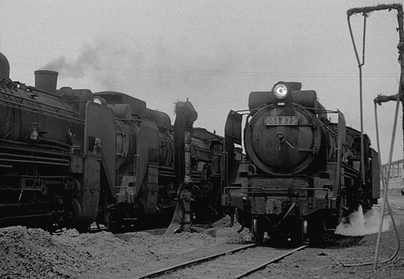 D51